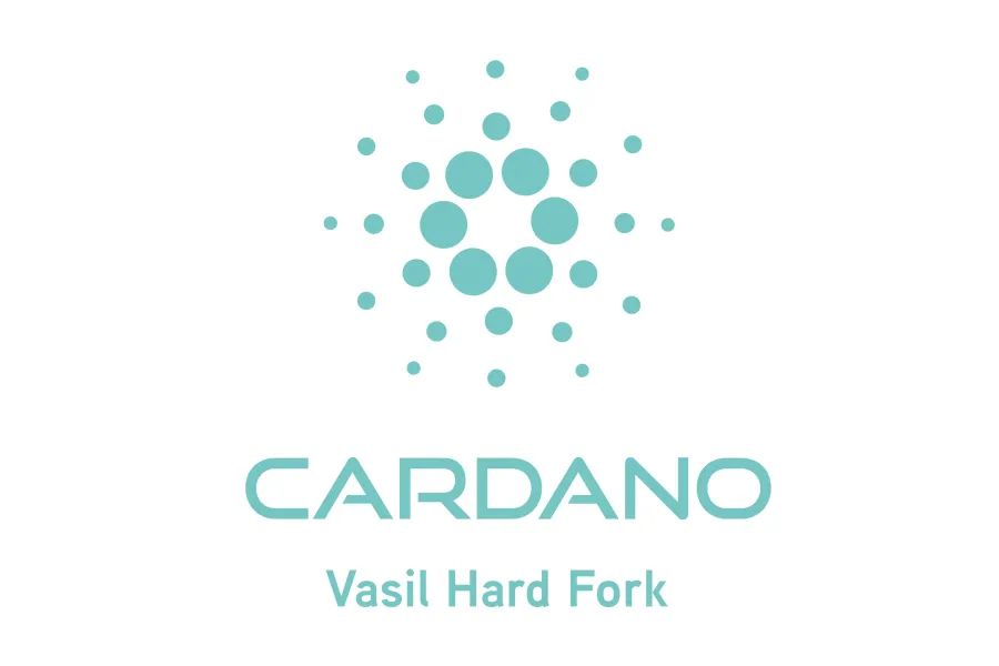 Cardano Vasil Visual