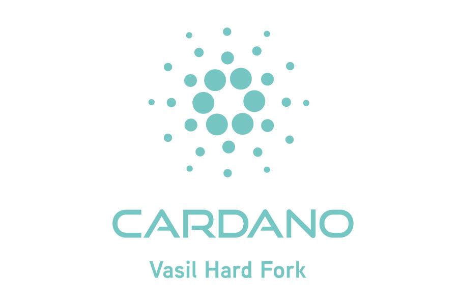 Cardano Vasil Visual